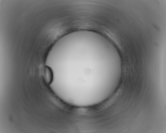 X0000114580265200910191101