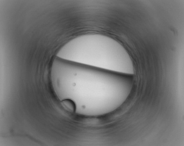 X0000114580266200910191101