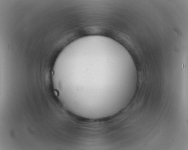 X0000114580267200910191101