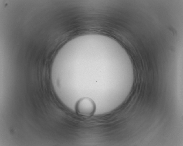 X0000114580268200910191101