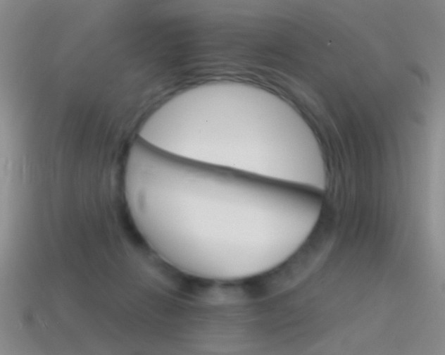 X0000114580270200910191101