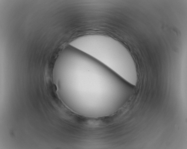 X0000114580272200910191101