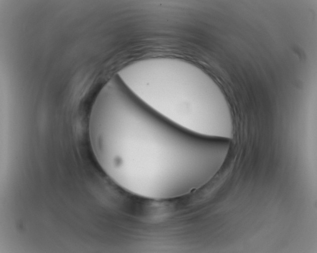 X0000114580277200910191101