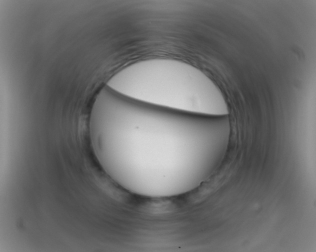 X0000114580278200910191101