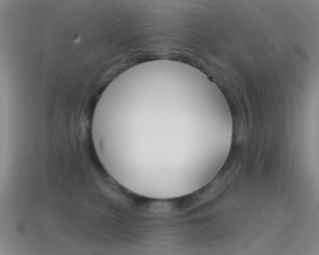 X0000114580279200910191101