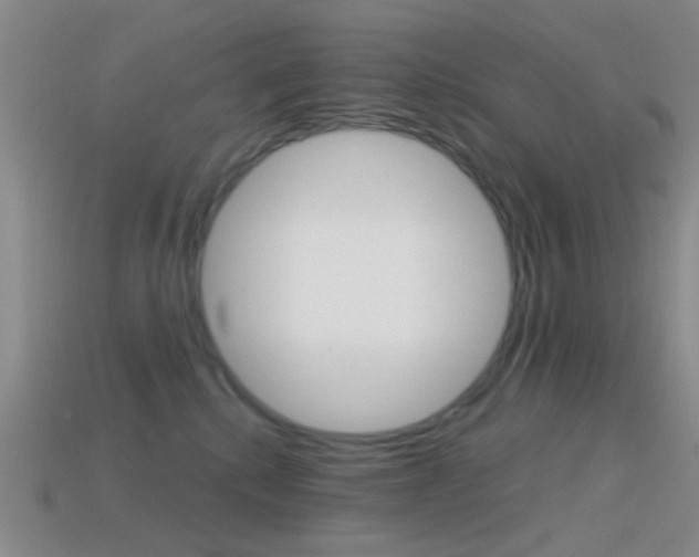 X0000114580280200910191101