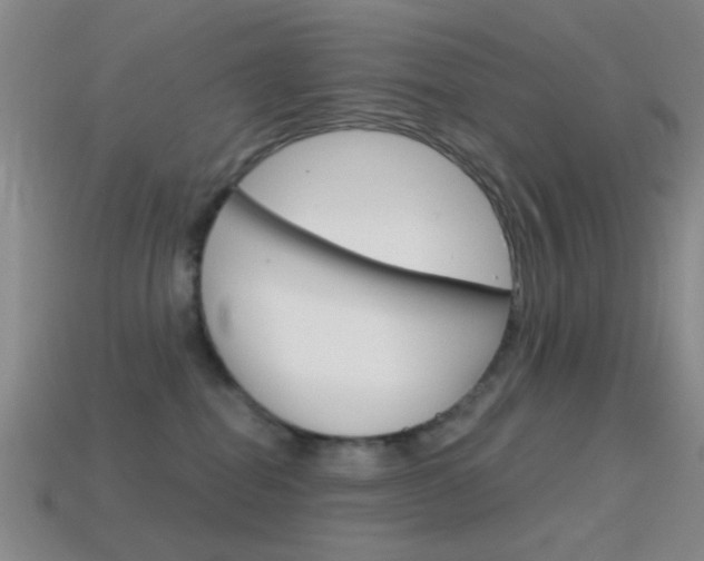 X0000114580282200910191101