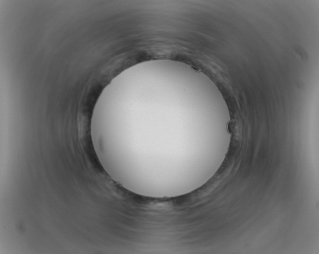 X0000114580283200910191101