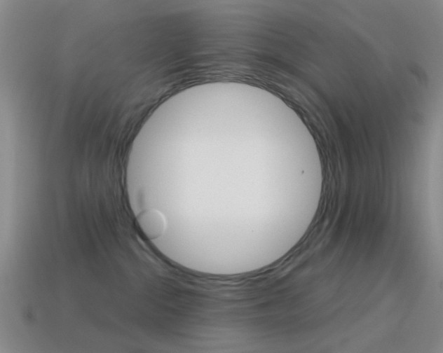 X0000114580284200910191101