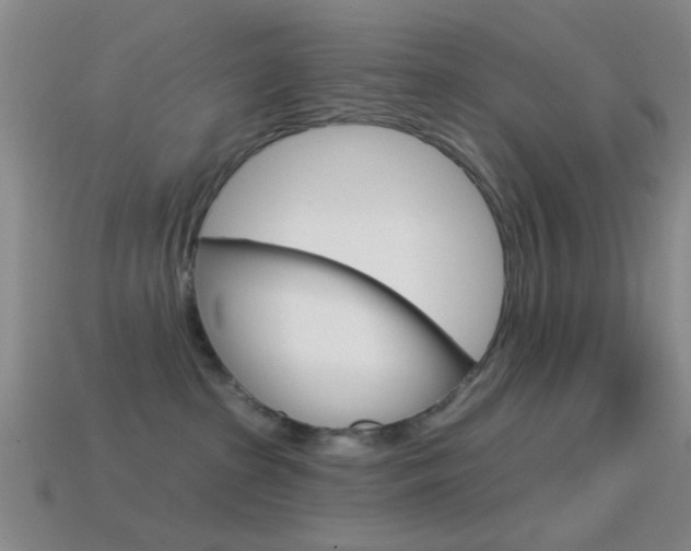 X0000114580285200910191101