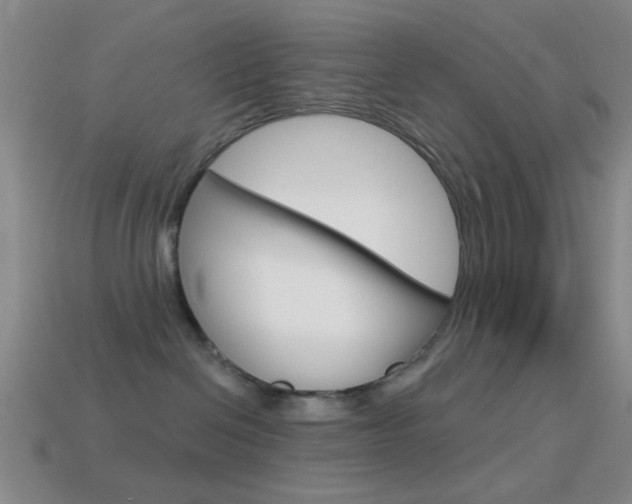 X0000114580286200910191101