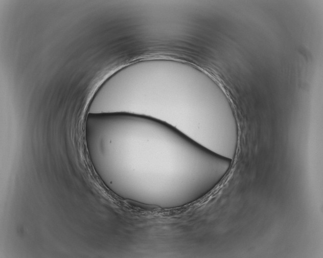 X0000114580289200910191100