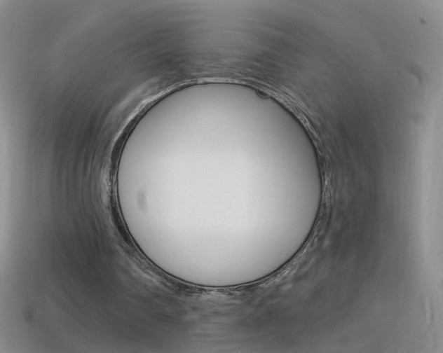 X0000114580290200910191100