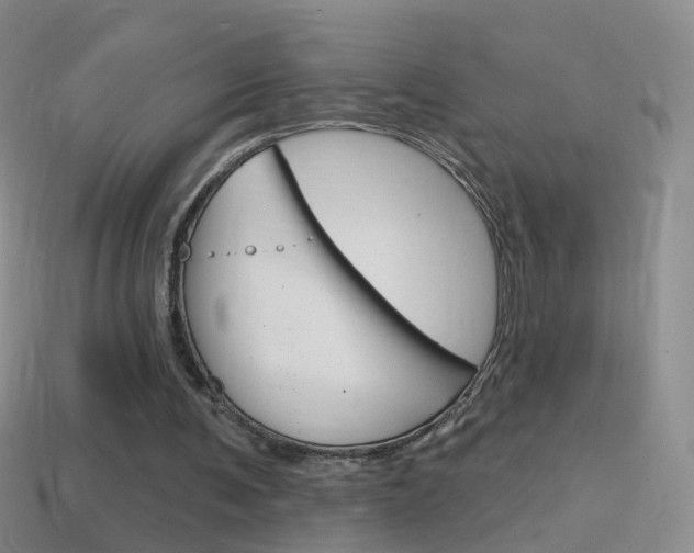 X0000114580291200910191100