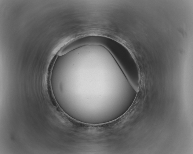 X0000114580292200910191100