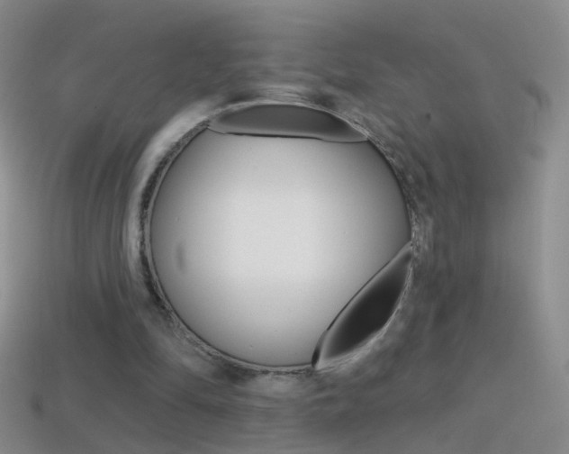 X0000114580294200910191100