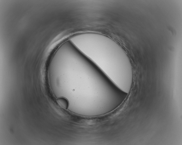 X0000114580295200910191100