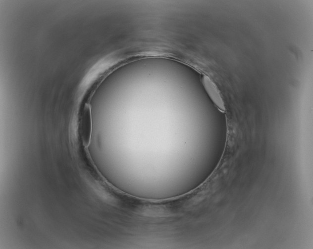 X0000114580296200910191100