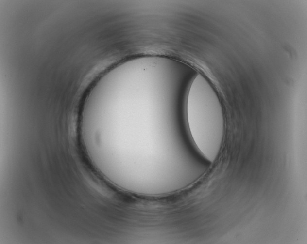 X0000114580299200910191100