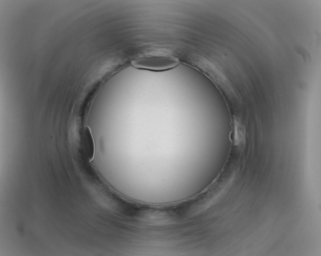 X0000114580300200910191100