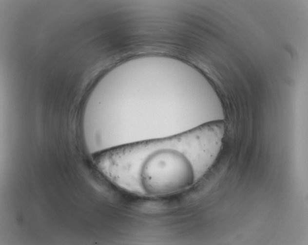 X0000114580303200910191100