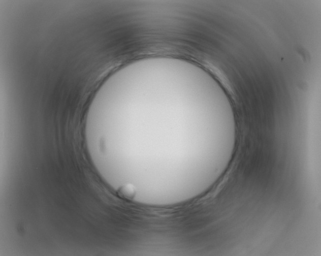 X0000114580305200910191100