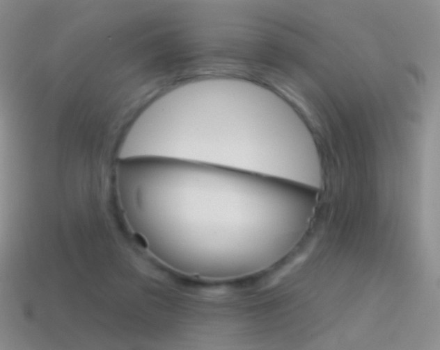 X0000114580309200910191100