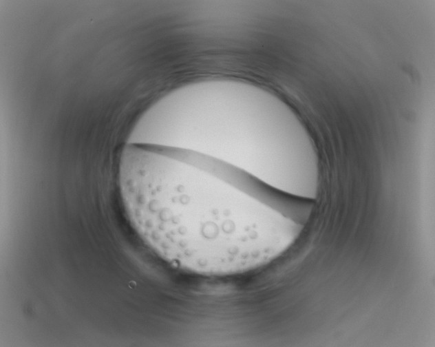 X0000114580311200910191100