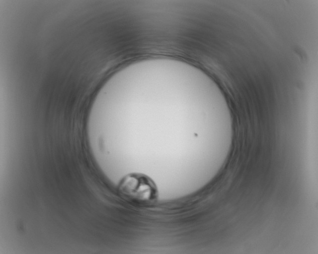 X0000114580312200910191100