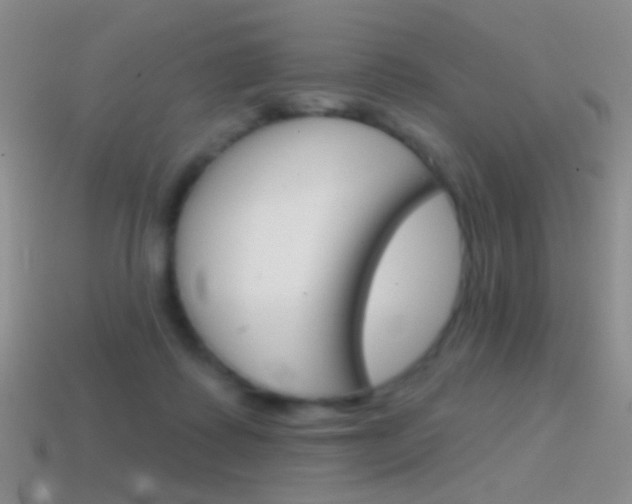 X0000114580315200910191100