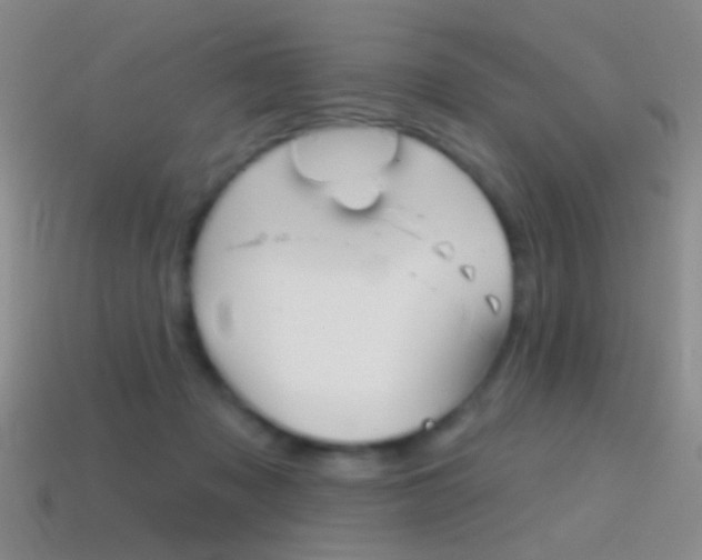 X0000114580317200910191100