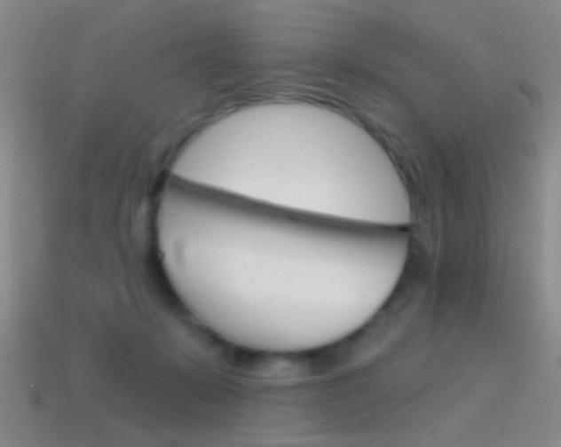 X0000114580319200910191100