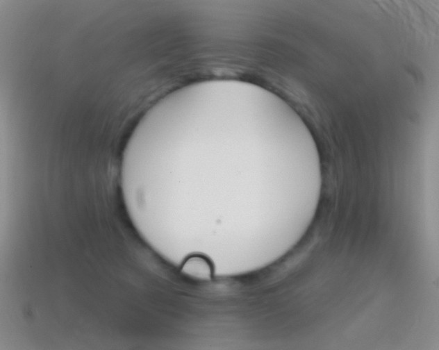 X0000114580321200910191100