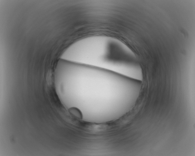 X0000114580323200910191100