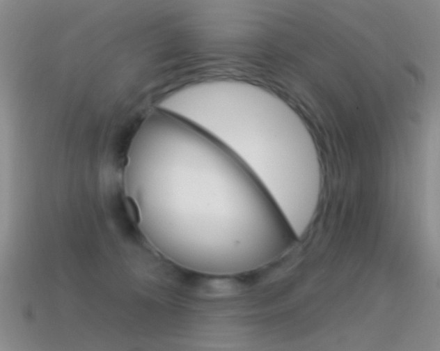 X0000114580324200910191100