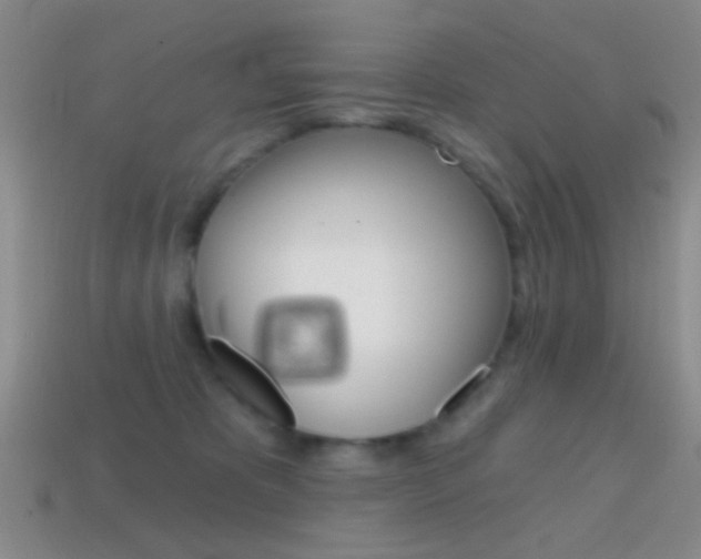 X0000114580325200910191100