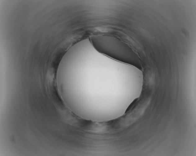 X0000114580328200910191100