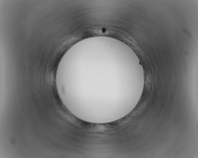 X0000114580330200910191100