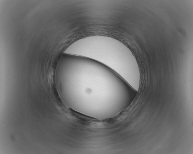 X0000114580332200910191100