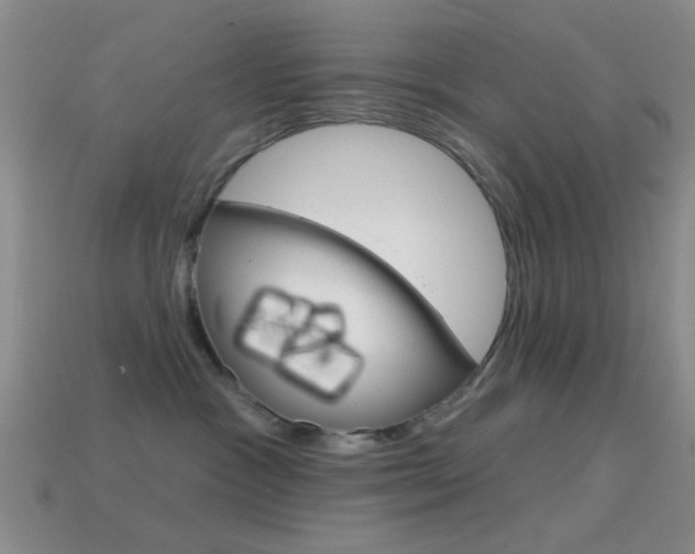 X0000114580333200910191100