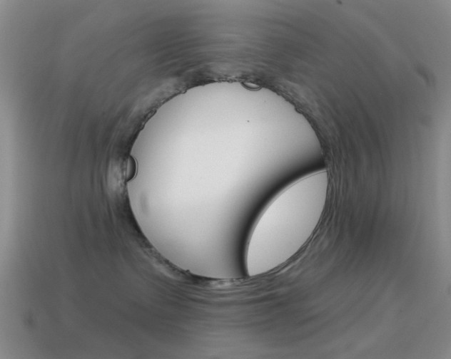 X0000114580335200910191100