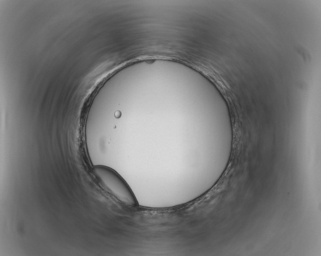 X0000114580338200910191059