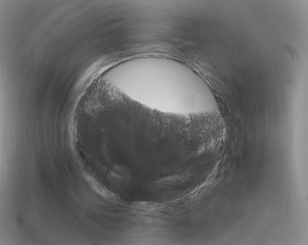 X0000114580339200910191059