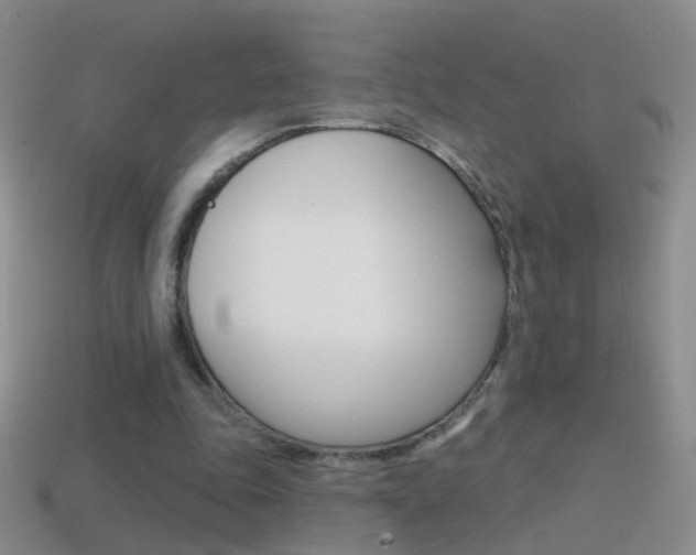 X0000114580343200910191059