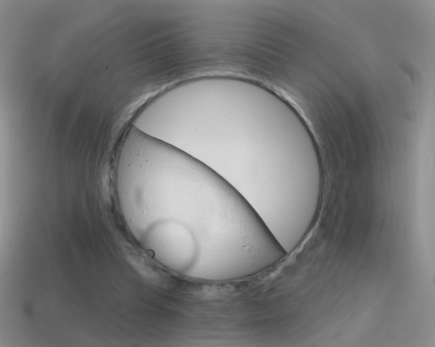 X0000114580345200910191059