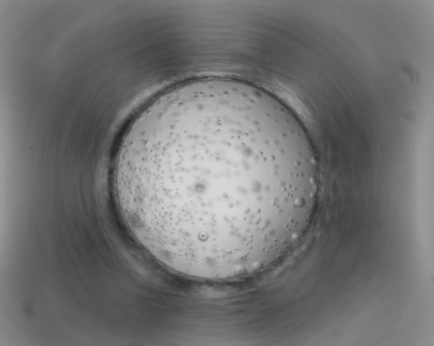 X0000114580346200910191059