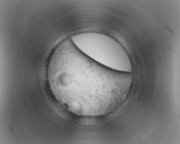 X0000114580354200910191059