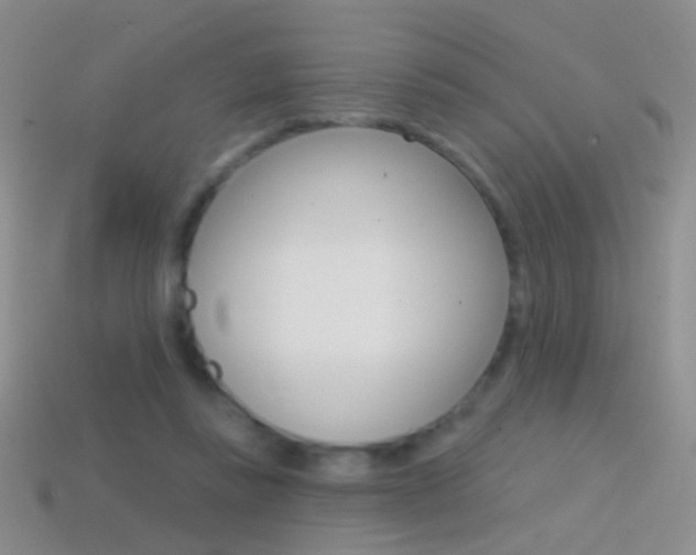 X0000114580355200910191059