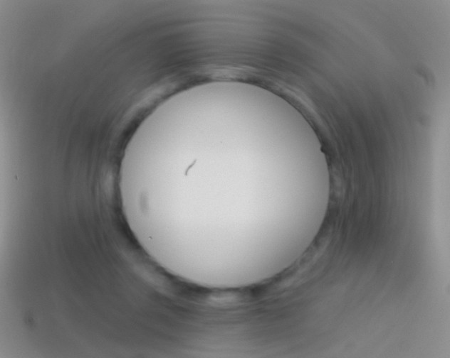 X0000114580357200910191059