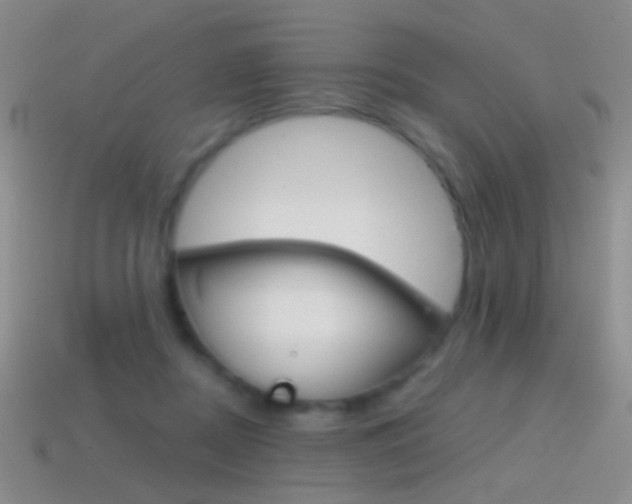 X0000114580362200910191059